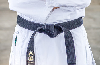 A Goju-Ryu karate mesterei az ELTE Sport7-en
